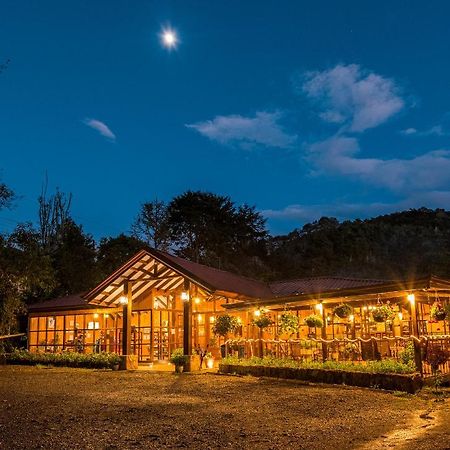 Hotel De Montana Suria San Gerardo de Dota Ngoại thất bức ảnh